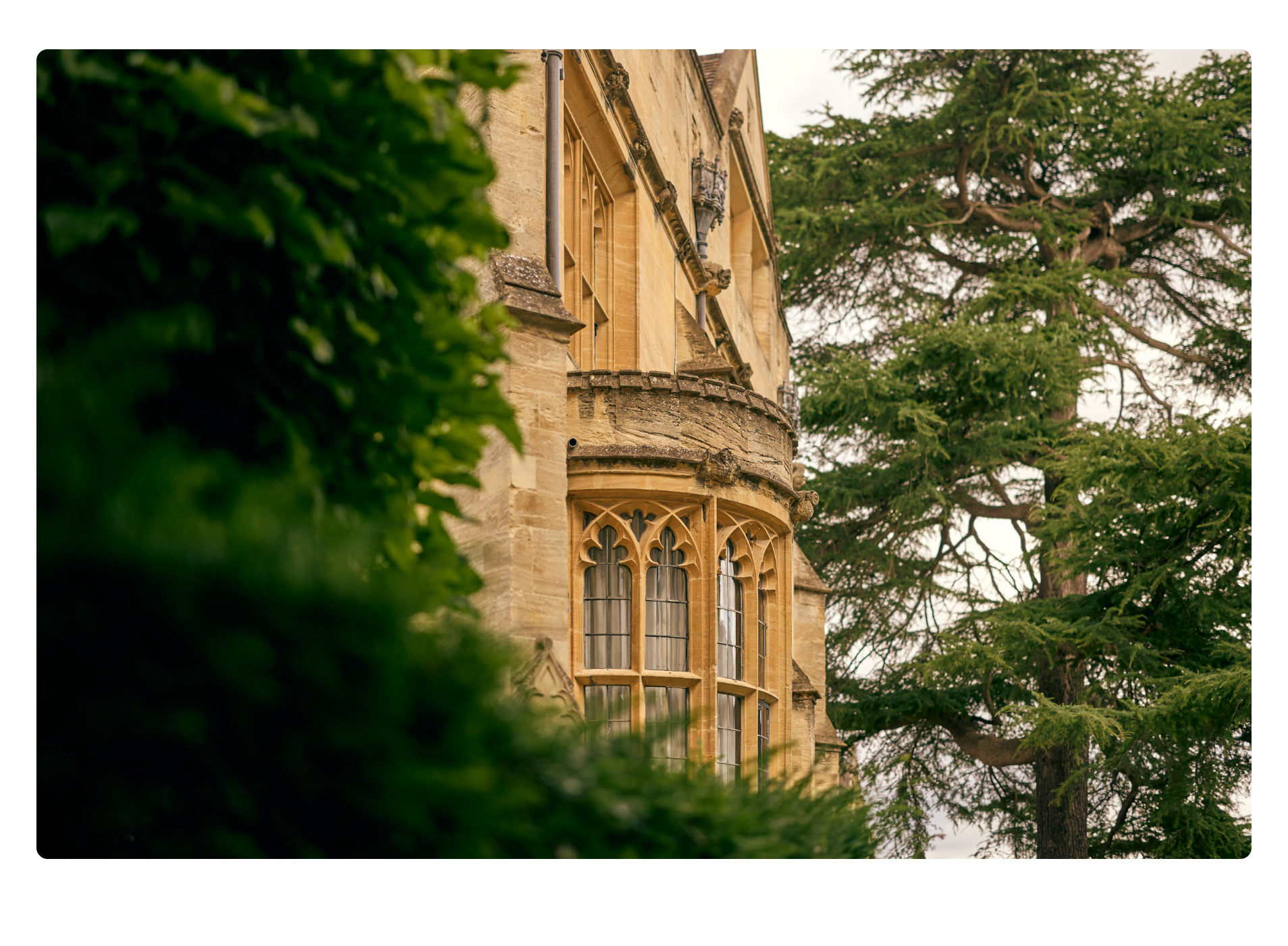 After removing a caption from an image