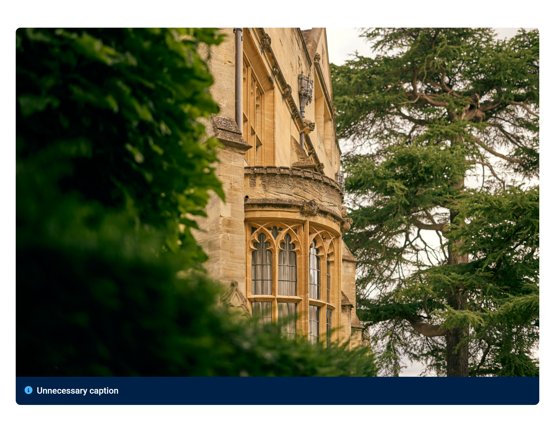 Before removing a caption from an image